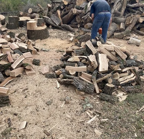 Продам дрова дуб ясен береза- фото № 1