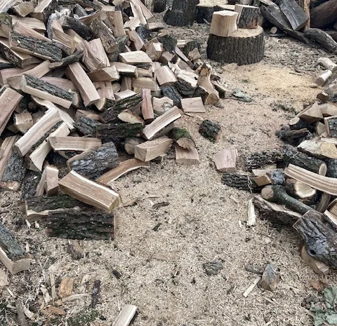 Продам дрова дуб ясен береза- фото № 2