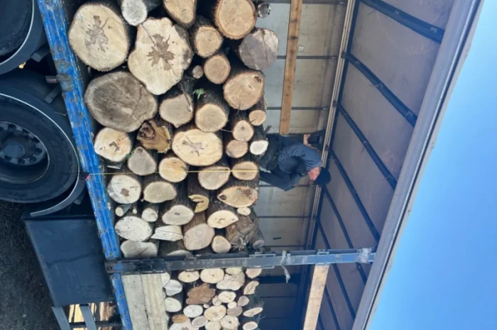 Дрова колоті твердих порід- фото № 1