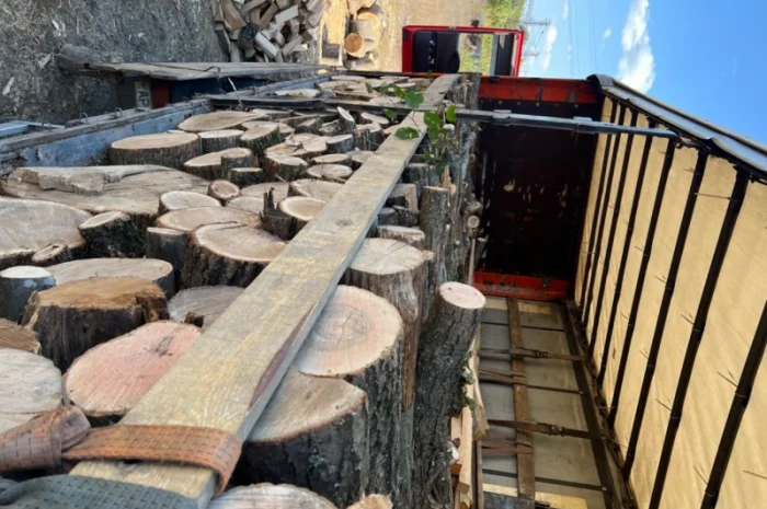 Дрова колоті твердих порід- фото № 2