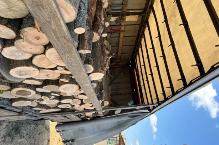 Дрова колоті твердих порід- фото № 3