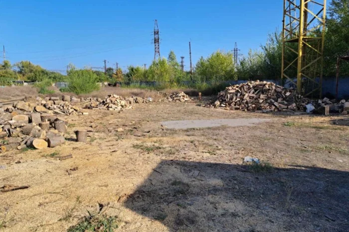 Дрова колоті твердих порід- фото № 5