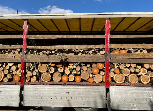 Дрова оптом в Дніпрі твердих порід- фото № 2