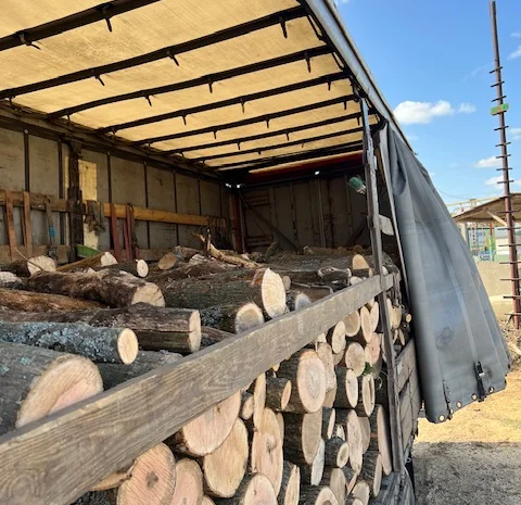 Дрова оптом в Дніпрі твердих порід- фото № 3