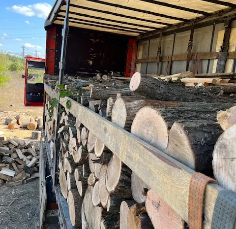 Дрова оптом в Дніпрі твердих порід- фото № 4