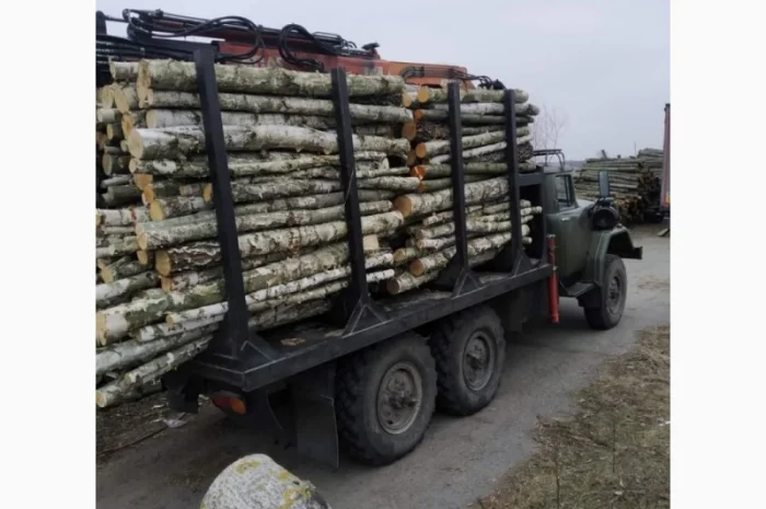 Дрова. Береза.Ольха.Дуб Опт Житомирская обл- фото № 1