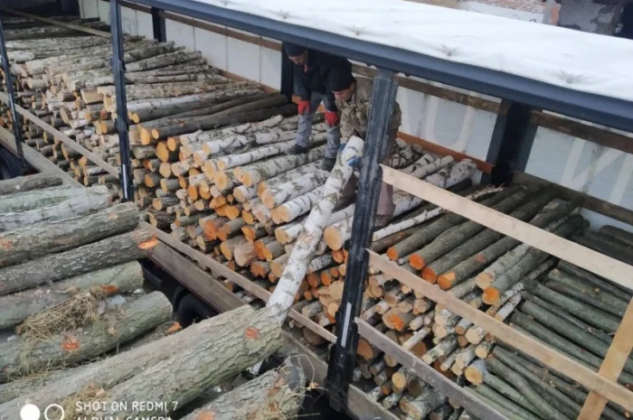 Дрова. Береза.Ольха.Дуб Опт Житомирская обл- фото № 2