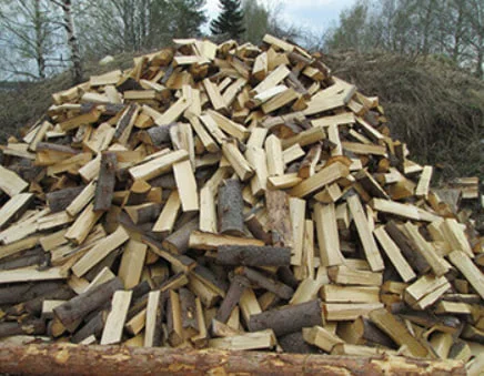 Дрова: дуб, акация, береза, без предоплаты, быстрая доставка- фото № 1