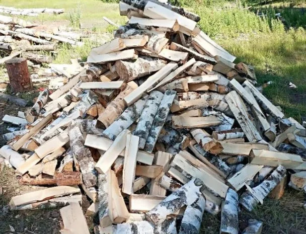 Продам дрова любых пород, доставка без предоплаты- фото № 1