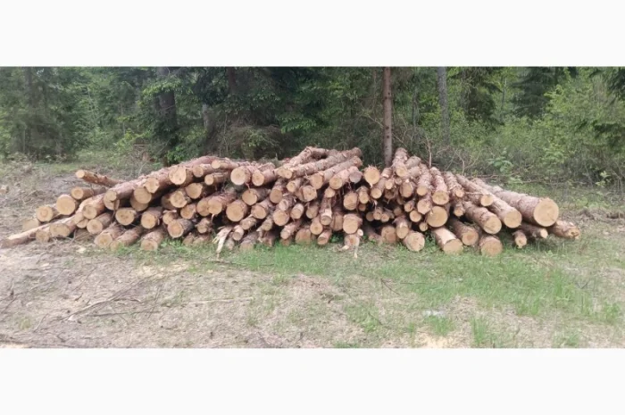 Продам дрова- фото № 1