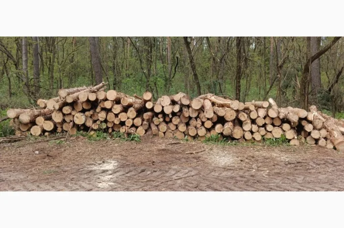 Продам дрова- фото № 2