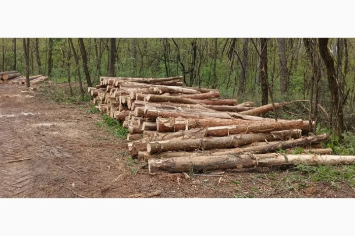 Продам дрова- фото № 3