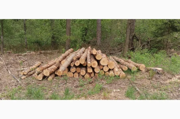 Продам дрова- фото № 4