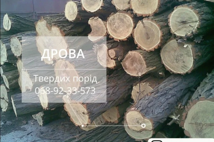 Дрова твердих порід- фото № 1