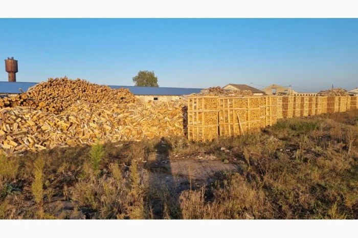 Дрова колоті береза- фото № 2