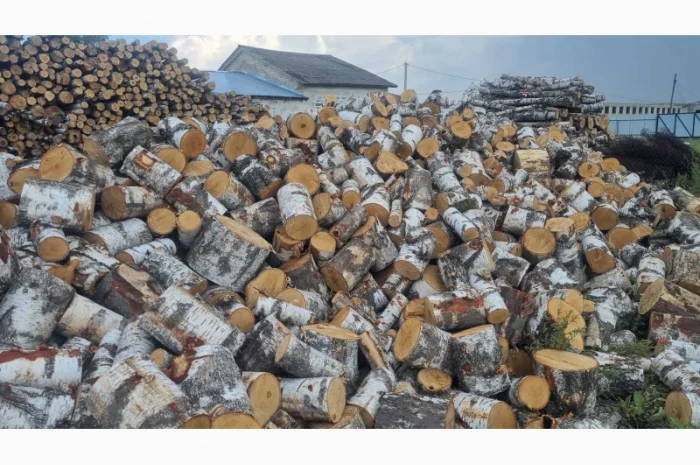 Дрова рубані- фото № 2