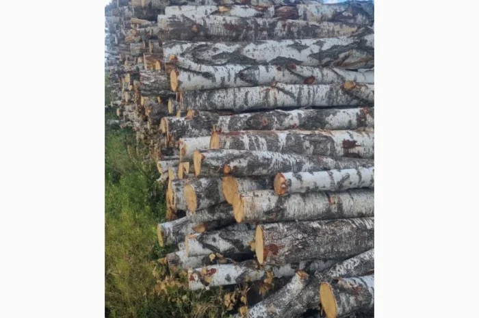 Дрова рубані- фото № 3