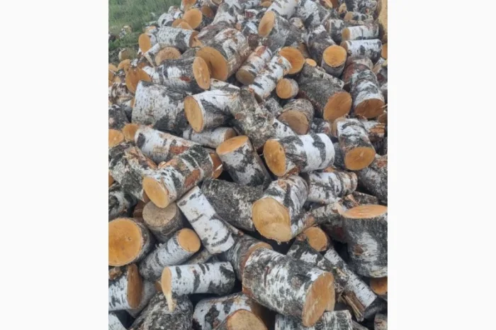 Дрова рубані- фото № 5
