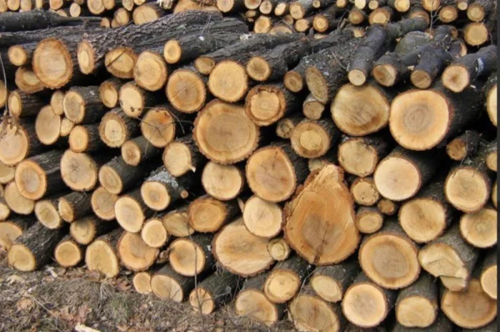 Дрова твердої породи: дуб, граб, клен- фото № 1
