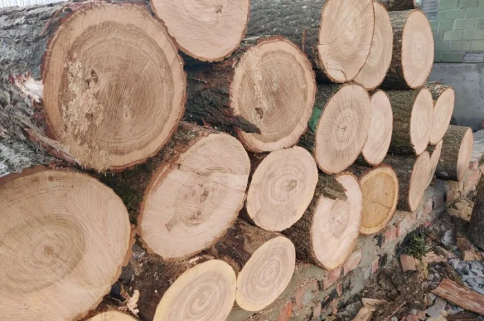 Продам колоті дрова- фото № 8