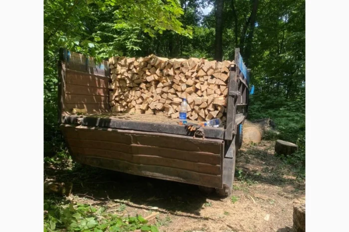 Продам колоті дрова- фото № 5