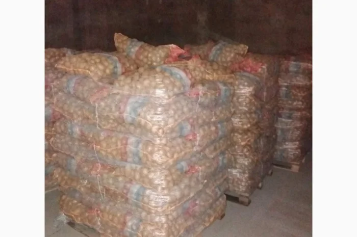 Продам пеллету древесную от производителя от 100 тонн- фото № 2