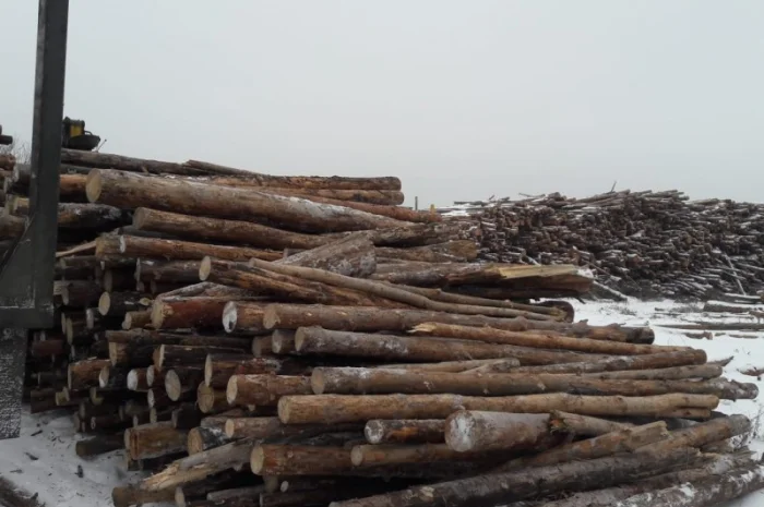 Продаж палетів пального від виробника, мінімальний обсяг 100 тонн- фото № 3