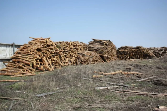 Продаж палетів пального від виробника, мінімальний обсяг 100 тонн- фото № 4