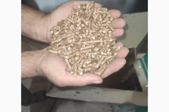 Продаж пеллет паливних із деревини хвойних порід, сосна- фото № 3