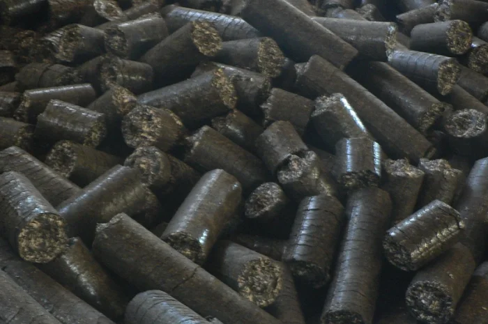 Брикети, пелети з лушпиння (лузги)- фото № 1