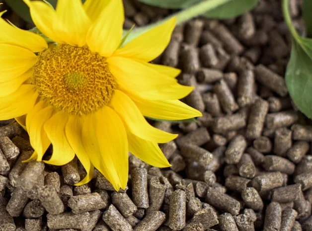 Продаємо пелети з лушпиння та брикет з лушпиння- фото № 1