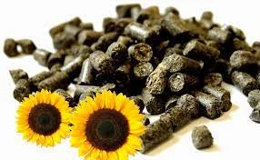 Пеллети з лушпиння соняшника, брикети з лушпиння- фото № 1