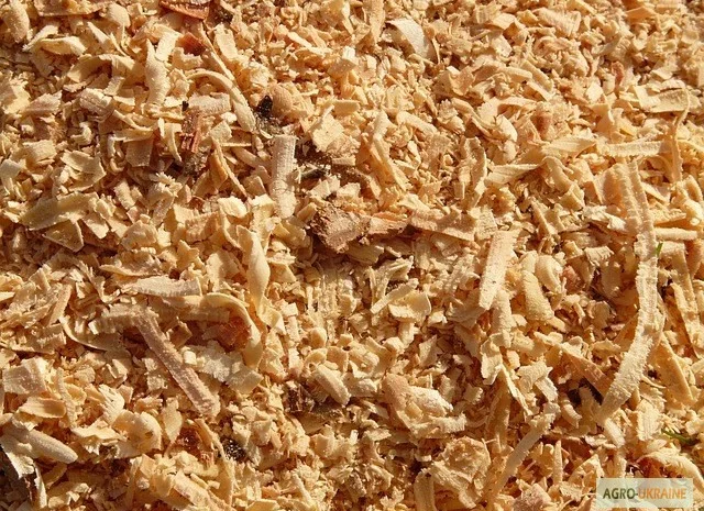 Куплю срочно опилки оптом- фото № 1