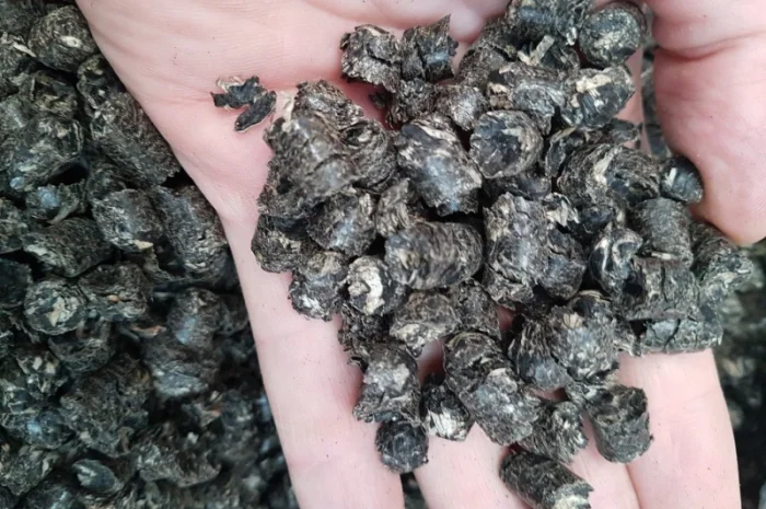 Пеллеты из чистой лузги подсолнечника- фото № 3