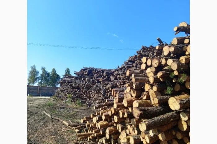 Пропонуємо високоякісні паливні пелети- фото № 2