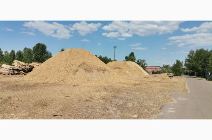 Продам Щепу паливну, порода сосна- фото № 1