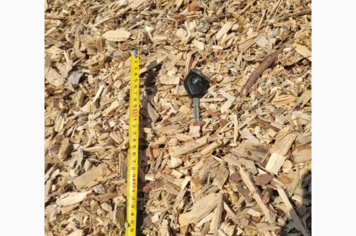 Продам Щепу паливну, порода сосна- фото № 2