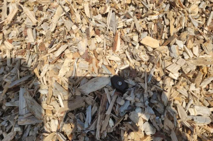 Продам Щепу паливну, порода сосна- фото № 5