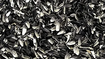 Продам лузгу подсолнечника- фото № 1