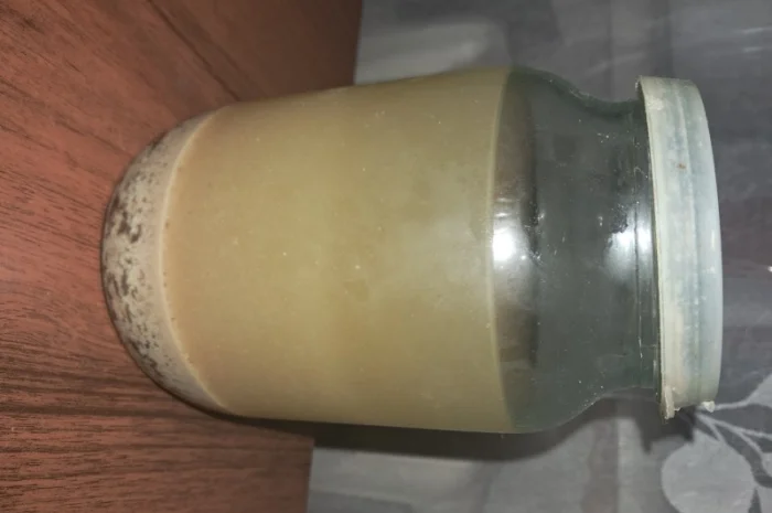 Продам настоянку мелених плодів кінського каштану від варикозу- фото № 1