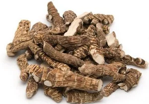 Куплю корінь аїру, живокосту- фото № 1