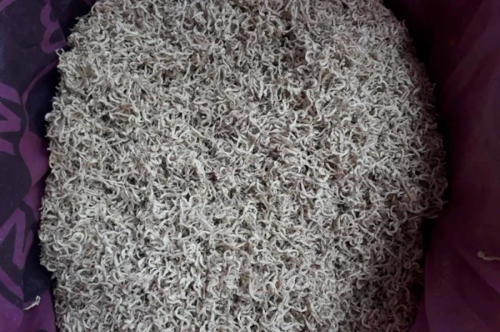 Продам траву яснотки 2 тони і цвіт яснотки 0.5 т- фото № 1