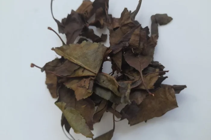 Вишня, ферментований лист- фото № 1