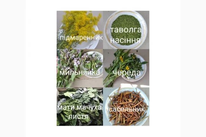Лікарські трави та коріння- фото № 2