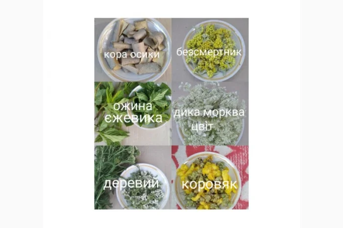Лікарські трави та коріння- фото № 3