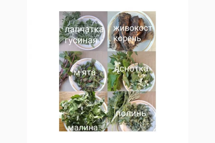 Лікарські трави та коріння- фото № 5