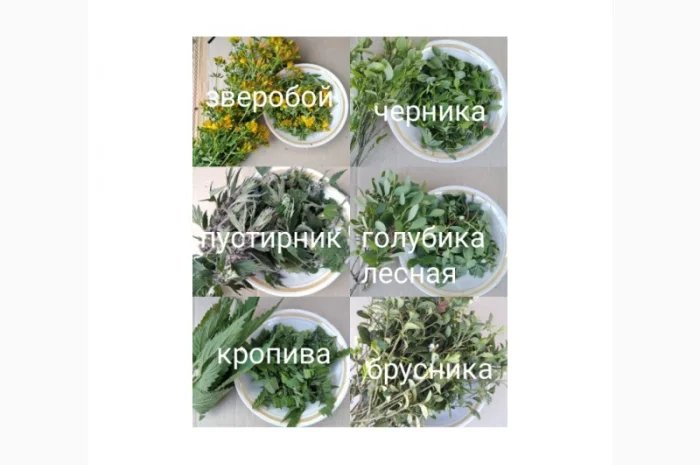 Лікарські трави та коріння- фото № 6
