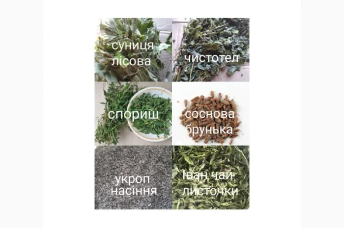 Лікарські трави та коріння- фото № 7