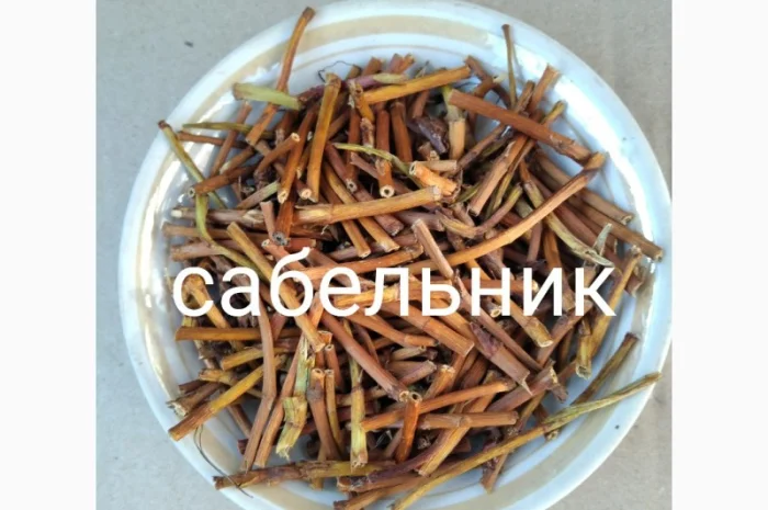 Сабельник- фото № 1