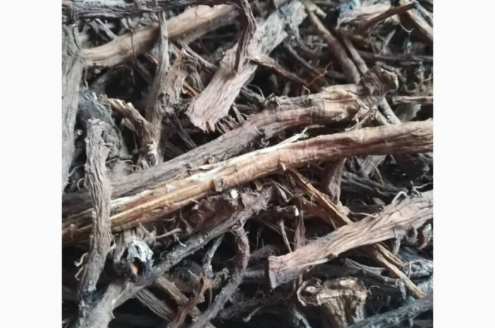 Купую корінь кульбаби сухий- фото № 1